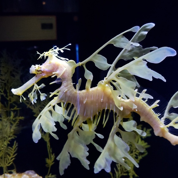 Meet your Posher, Gladys - Picture 4 of 5